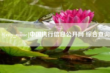 伊春中国执行信息公开网 综合查询
