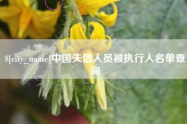 伊春中国失信人员被执行人名单查询