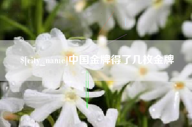 伊春中国金牌得了几枚金牌