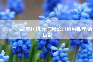 伊春中国执行信息公开网客服电话查询