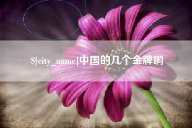伊春中国的几个金牌啊