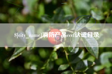 伊春消防产品cccf认证目录