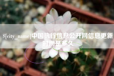 伊春中国执行信息公开网信息更新时间是多久