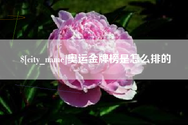伊春奥运金牌榜是怎么排的