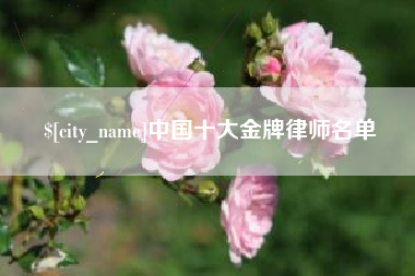 伊春中国十大金牌律师名单