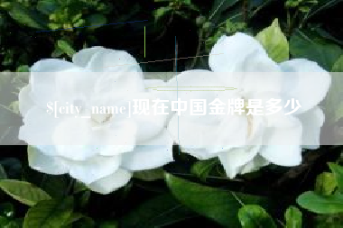 伊春现在中国金牌是多少