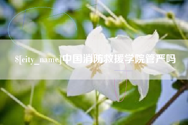 伊春中国消防救援学院管严吗