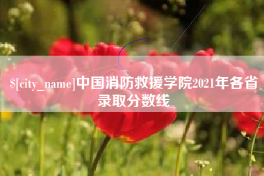 伊春中国消防救援学院2021年各省录取分数线