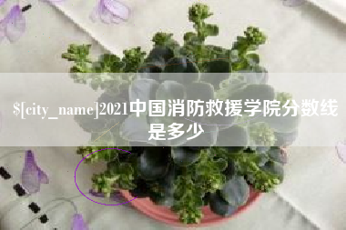 伊春2021中国消防救援学院分数线是多少