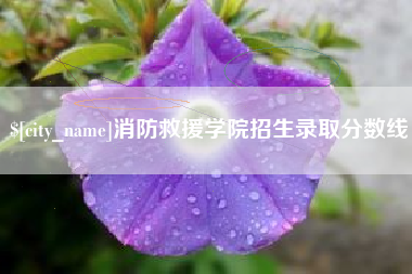 伊春消防救援学院招生录取分数线