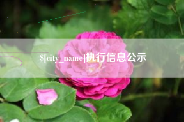 伊春执行信息公示