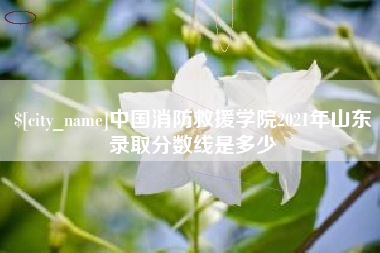 伊春中国消防救援学院2021年山东录取分数线是多少