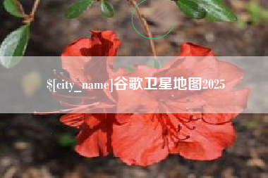 伊春谷歌卫星地图2025