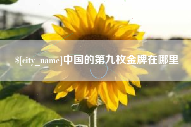 伊春中国的第九枚金牌在哪里