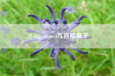 伊春九宫格盘子