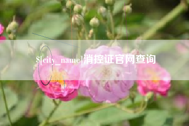 伊春消控证官网查询