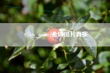 伊春金牌图片真实