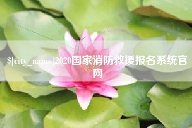 伊春2020国家消防救援报名系统官网