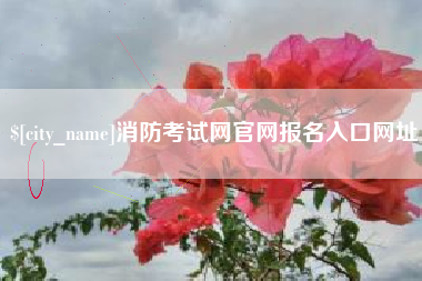 伊春消防考试网官网报名入口网址