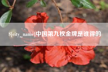 伊春中国第九枚金牌是谁得的