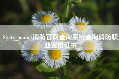 伊春消防官网查询系统查询消防职业资格证书