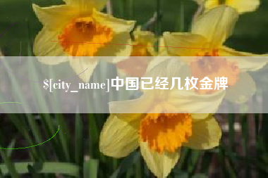 伊春中国已经几枚金牌