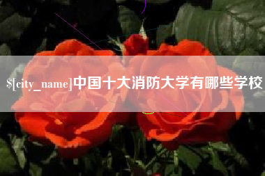 伊春中国十大消防大学有哪些学校