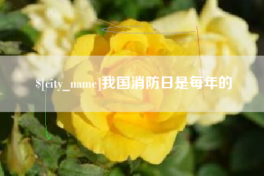伊春我国消防日是每年的