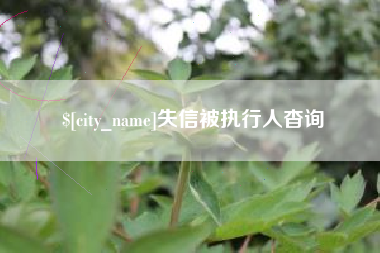 伊春失信被执行人杳询