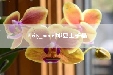 伊春邱县王子磊