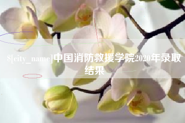 伊春中国消防救援学院2020年录取结果