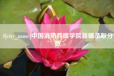 伊春中国消防救援学院新疆录取分数