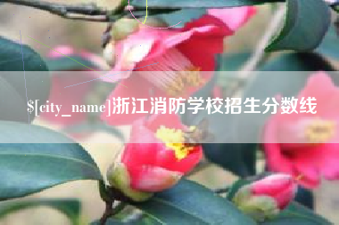伊春浙江消防学校招生分数线