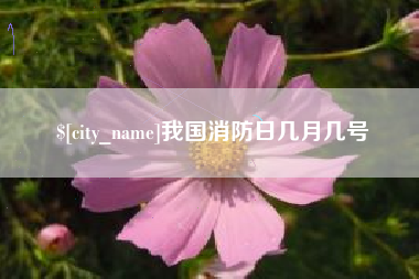 伊春我国消防日几月几号