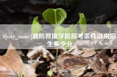 伊春消防救援学院报考条件湖南招生多少分