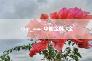 伊春中国金牌18金