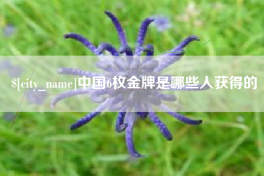 伊春中国6枚金牌是哪些人获得的
