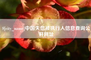 伊春中国失信被执行人信息查询公开网址