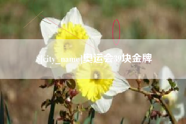 伊春奥运会39块金牌