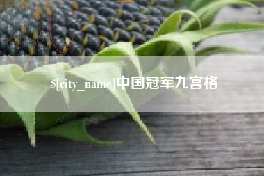 伊春中国冠军九宫格