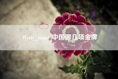 伊春中国哪几项金牌