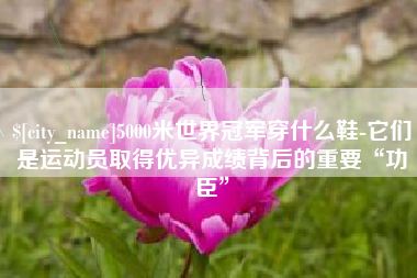 伊春5000米世界冠军穿什么鞋-它们是运动员取得优异成绩背后的重要“功臣”