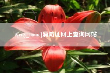 伊春消防证网上查询网站