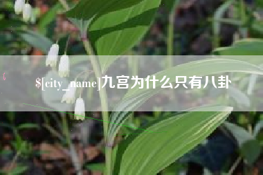 伊春九宫为什么只有八卦