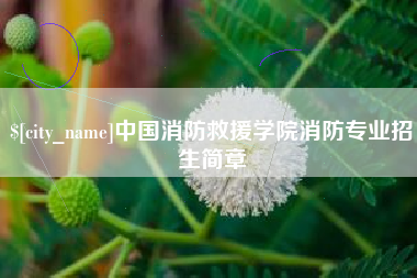 伊春中国消防救援学院消防专业招生简章