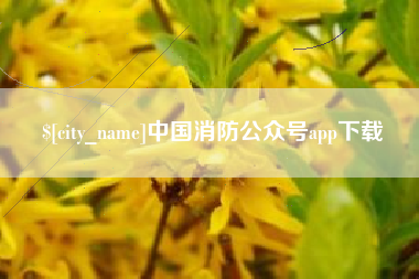伊春中国消防公众号app下载