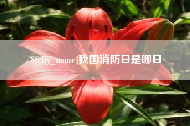 伊春我国消防日是哪日