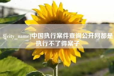 伊春中国执行案件查询公开网都是执行不了得案子