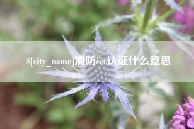 伊春消防ccc认证什么意思