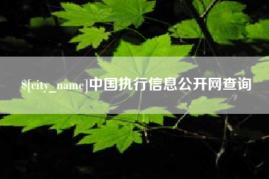 伊春中国执行信息公开网查询